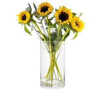 TREND FOR HOME Grand Vase à Poser au Sol en Verre Transparent - Cylindre Rond 29 cm, Ø 15.8 cm - Décoratif Pampa, Centre de Table Mariage - 4900 ML - Magnolia