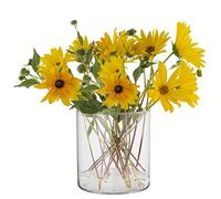 TREND FOR HOME Vase Cylindrique en Verre H: 15 cm Vase Fleur Pot Pourri Vase Rond en Verre Transparent Vase Minimaliste Vase Decoratif Recipient pour Bougies | ⌀ 15 cm | 2350 ML | Calen