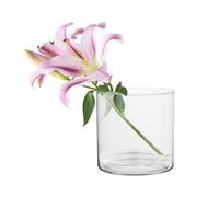 TREND FOR HOME Vase Decoratif 19 cm Porte Bougie Grand Conteneur de Verre Décoration Mariage Bougeoir Verre Récipient Haut pour Bougies Flottantes Pilier Votif Transparent | Ø 19 cm | 4848 ML | Naida
