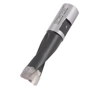 Trend Mèche Domino, Diamètre 10 mm, Outil de Rainurage pour le Système de Mortaiseuse à Chevilles Festool Domino DF500, à Pointe en Carbure de Tungstène, DOM/10