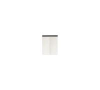 trendteam smart living Armoire Murale de Miroir de Salle de Bains avec Espace de Rangement, Gris Brillant, 60 x 77 x 103 cm