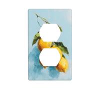Trendy Lemons Vintage Outlet Cover Light Switch Cover Decorative 1 Gang Wall Plate for Kitchen Room Bathroom Size 7x11.4cm
