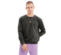 Trendyol Sweat-Shirt Anthracite Male Regular Fit Maillot de survêtement, Anthrazit, XXL Homme