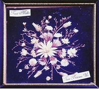 Trent Miller - Time Between Us