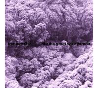 Trentemoller - Into the Great Wide..