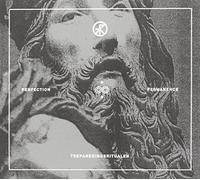 Trepaneringsritualen - Perfection & Permanence [Import]