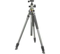 Vanguard Trépied Alta Pro 2+ 263AB100 Aluminium avec Vanguard Alta BH 100 Gris