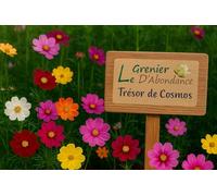 Trésor de Cosmos à semer - Le Grenier d’Abondance - Jardin de fleurs légères, colorées et faciles - 7 variétés incluses