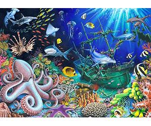Trésor Englouti Jigsaw Puzzle 1000 Pièces