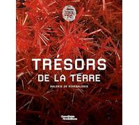 Trésors de la terre. Galerie de minéralogie