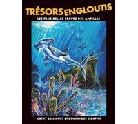 Trésors Engloutis: Les plus belles épaves des Antilles