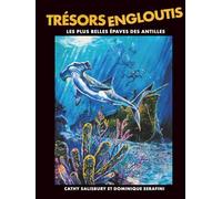 Trésors Engloutis: Les plus belles épaves des Antilles