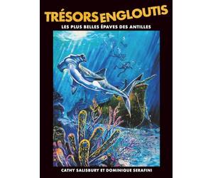 Trésors Engloutis: Les plus belles épaves des Antilles