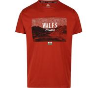 Trespass - T-shirt "Ashta" pour homme TP6451 (L) (Salsa)
