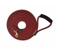 Tressé Laisse Longue Dressage pour Chien Plomb Corde éducative Retriever Corde Animalerie Course à Pied Entraînement Laisse pour Petites Moyen Gros Chien (5M, Rouge 12mm)