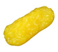 Tressify Modèle Anatomie Corps Humain pour l'éducation Soins de santé, Réplique de structure adipeuse TPE, enseignement et éducation à la santé, démonstrations en salle de classe Idéal