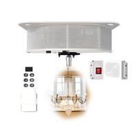 Treuil lustre électrique heavy-duty avec monte-lustre motorisé 5M/6M, commande murale + télécommande pour installation suspensions, nettoyage lustres et maintenance éclairage haut plafond(80KG-6M)