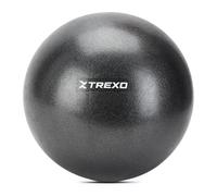 TREXO Mini Ballon de Gymnastique Noir avec Un diamètre de 20 cm, fabriqué en PVC, Durable et résistant à l'usure, léger et Facile à Transporter, Parfait pour Le Fitness