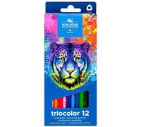 Tri-colour Artist Crayons - 12 pièces de Colour Magic pour créer des œuvres d'art inoubliables Parfait pour les jeunes artistes et pour l'école