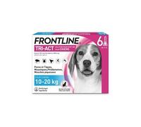FRONTLINE 6 Pipettes TriAct Chiens M 10 a 20 kg puces tiques moustiques phlébotomes e