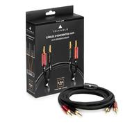 Triangle - Câbles Enceintes Prémontés avec Fiches Bananes 2x2,5m BLACK Serie - Cuivre OFC 99,99% pur - Qualité Audiophile - Compatible Amplificateur & Enceintes Passives (Paire)
