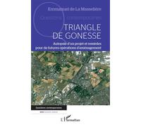 Triangle de Gonesse Autopsie d'un projet et remèdes pour de futures opérations d'aménagement - Emmanuel De La Masselière - L'harmattan - broché - Essai