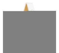 Triangular Bird Song Music Box - Pratique, Sensor Bird Cirping Sound Machine, relaxation Tree-Tiveau avec minuterie | Conférencier de musique décorative pour Yoga Studio Spa Home