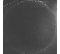 Triangulo De Amor Bi - Triangulo De Amor Bizarro [Cd] Spain - Import