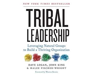 Tribal Leadership: Leveraging Natural Groups to Build a Thriving Organization