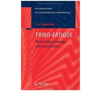 Tribo-Fatigue: Wear-Fatigue Damage And Its Prediction (Foundations Of Engineering Mechanics)