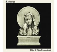 Tribulation Where the Gloom Becomes Sound (CD) Limited Media Book