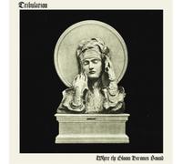 Where The Gloom Becomes Sound