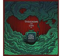 Tribulations and Life of A Cat Called Fritz