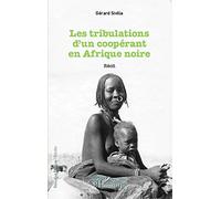 Tribulations d'un coopérant en Afrique noire: Récit