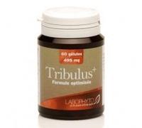 Tribulus 60 Gélules Labophyto