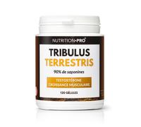 Tribulus terrestris 120 gelules vitalite et tonus masculin
