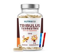 NUTRI & CO Tribulus Terrestris - 90% Saponines - Extrait100% Naturel concentré 10:1 - Endurance, Énergie, Croissance Musculaire & Santé Cardiaque - 120 gélules Vegan - Fabriqué en France