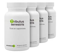 TRIBULUS TERRESTRIS PACK 3+1 GRATUIT | 470 mg / 720 gélules | Energie (fatigue), Performances sportives (douleurs musculaires), Vitalité | Fabriqué en France