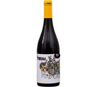 Tribuna 2024 - Bodega el Angosto