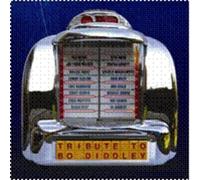 TRIBUTE TO BO DIDDLEY CD NEUF