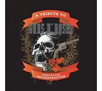 Tribute to Guns N'roses [Import allemand]
