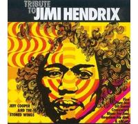 Tribute To Jimi Hendrix - Jeff Cooper And The Stoned Wings