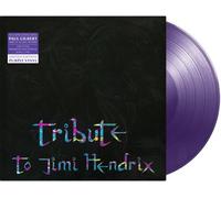 Tribute To Jimi Hendrix Vinyle