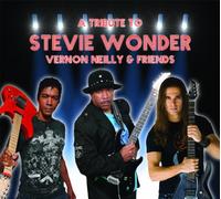Tribute to Stevie Wonder