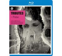 Tributes - Pulse (DVD) Kundi Bombo