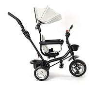 Tricycle Bébé Évolutif, Tricycle Enfant pour 18 Mois à 5 Ans, Vélo Poussette Enfant 4 en 1 avec Siège Réversible Pare Soleil et Pédale, Poussette Canne Compacte (Gris Clair, 4 en 1)