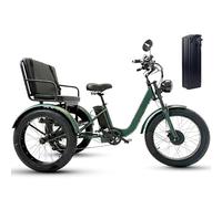 Tricycle Cargo Électrique, Capacité De Charge De 200kg, Pneus De 24″ De Large, Tricycle Électrique Avec Siège, Écran Lcd, Freins À Disque Doubles, Pour Un Usage Familial Quotidien Green