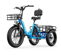 Tricycle cargo électrique CYBERVELO C16 avec batterie amovible 48V 20,8Ah - Bleu
