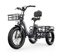 Tricycle cargo électrique CYBERVELO C16 avec batterie amovible 48V 20,8Ah - Gris