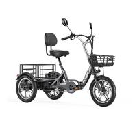 Tricycle cargo électrique Cysum T1 Pro : moteur 250 W, batterie 48 V 22 Ah, pneus 16 x 2,3 pouces